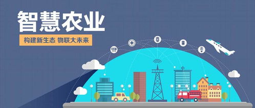 物聯網技術在傳統農業轉型中的挑戰與服務路徑探索